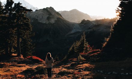 Hiking Peaks on an Island Paradise