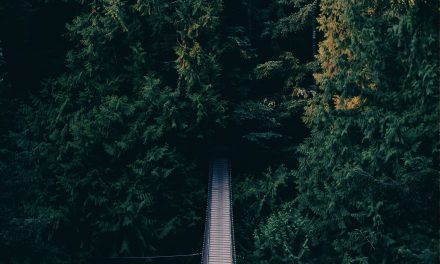 Five Yosemite Secrets