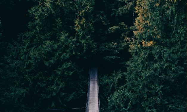 Five Yosemite Secrets