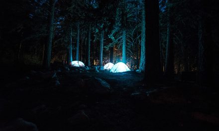 Celebrating 100 Years the National Parks
