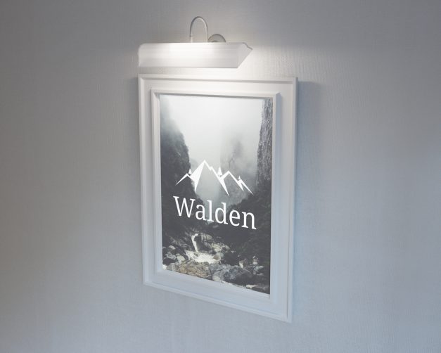 walden-stylish-poster-frame